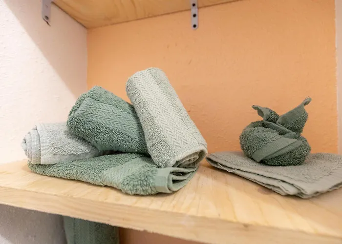 Centre Historique - Au Coeur De L'alsace * Тан