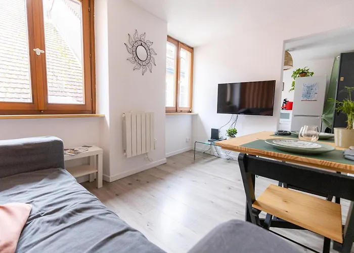 Centre Historique - Au Coeur De L'alsace Тан