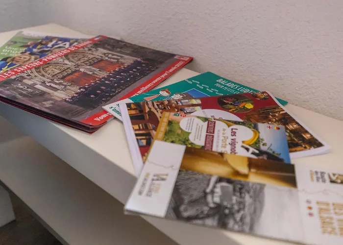 Centre Historique - Au Coeur De L'alsace Апартаменты *